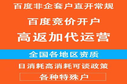 SEM代运营公司案例分析报告